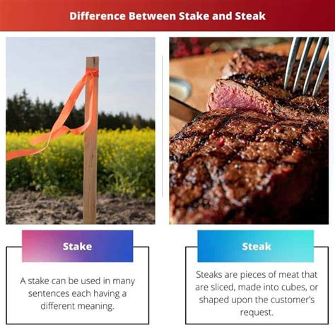steak vs stake|Stake vs. Steak Homophones Spelling & Definition.